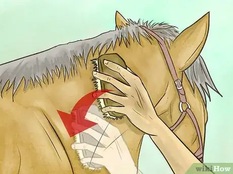 Image titled Become a "Horse Whisperer" Step 8